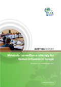 Meeting report molecular surveillance cover.jpg