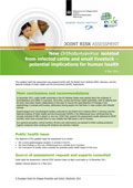 Rapid Risk Assessment Schmallenberg virus