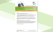 Cover for Communicable disease threats report, 3-9 March 2019, week 10 Thumbnail