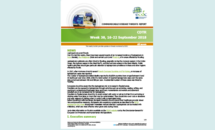 Cover of the Communicable disease threats report, 16-22 September 2018, week 38 Thumbnail