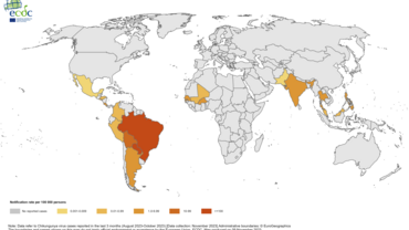 Three-month Chikungunya virus disease case notification rate per 100 000 population, August-October 2023