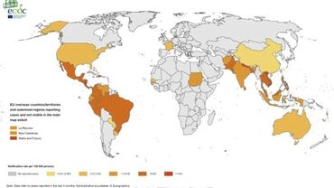 Geographical distribution of dengue cases reported worldwide, September–November 2022