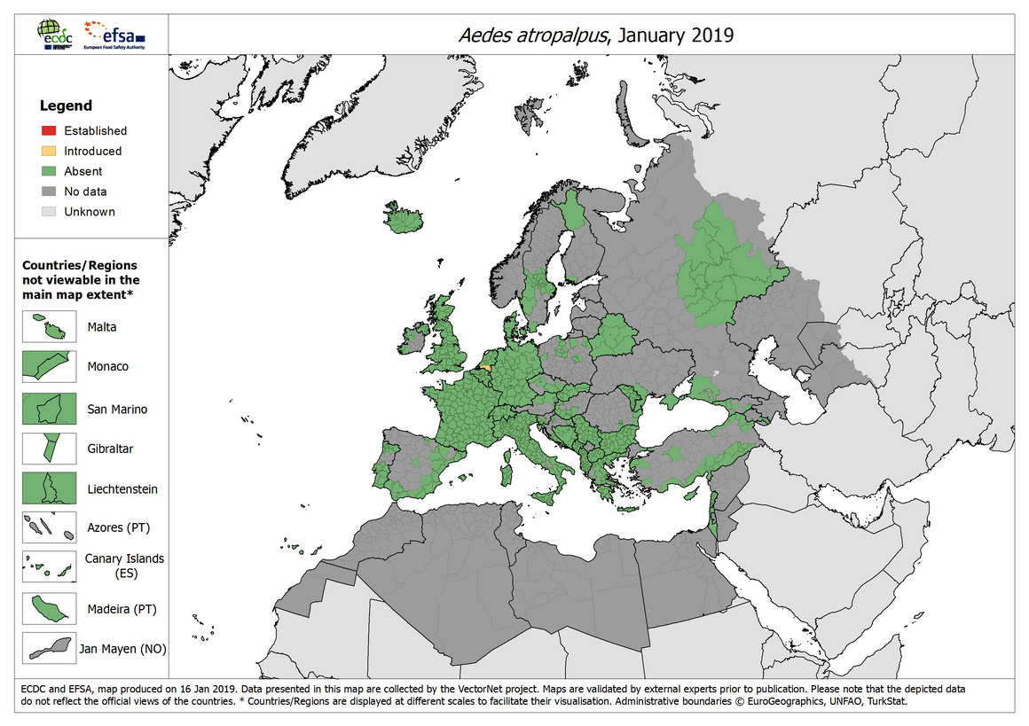 Aedes atropalpus - current known distribution: January 2019