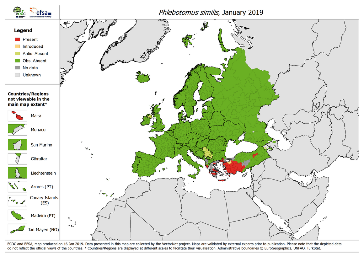Phlebotomus similis - current known distribution: January 2019