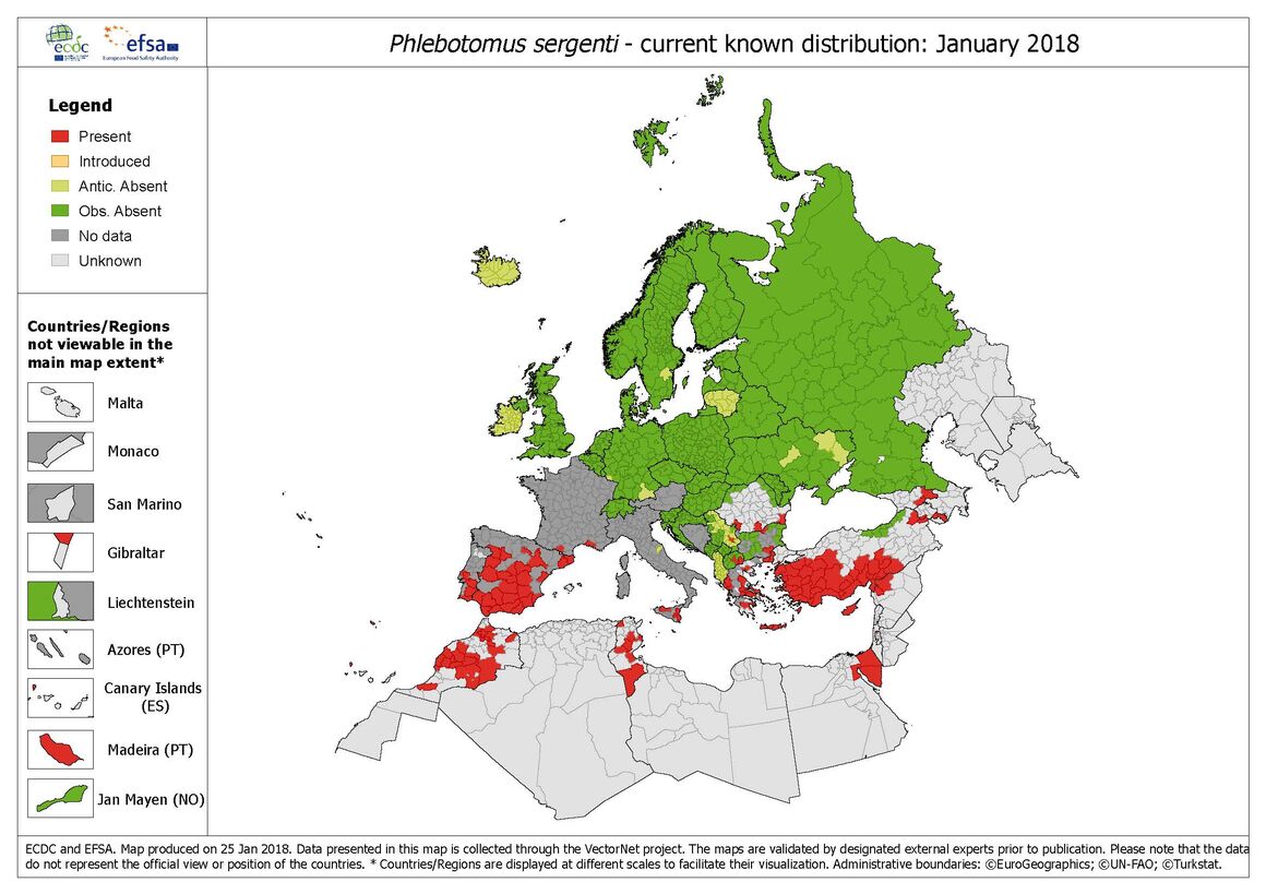 Phlebotomus_sergenti distribution January 2018