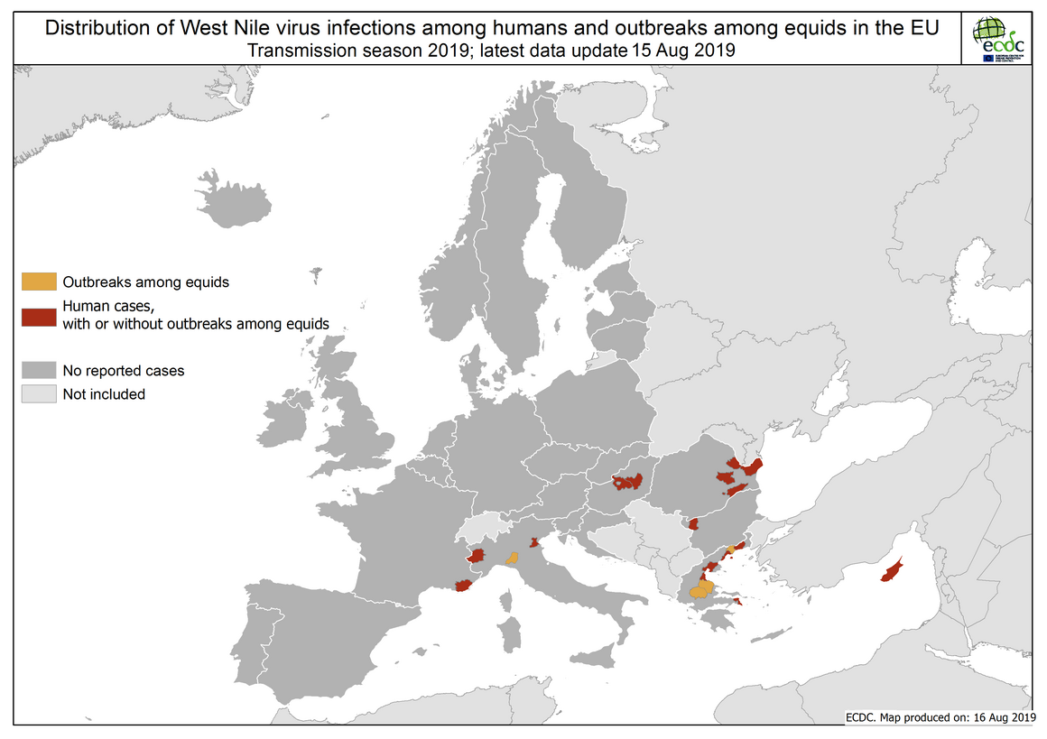 West Nile virus in Europe in 2019 - human and equine cases, updated 15 August