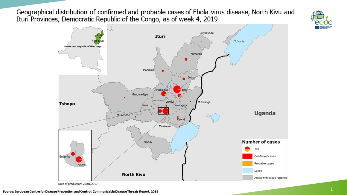 Geographical distribution of confirmed and probable cases of Ebola virus disease, North Kivu and Ituri Provinces, Democratic Republic of the Congo, as of week 4, 2019 