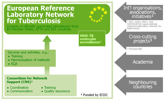 Organisational structure of the The European Reference Laboratory Network for TB