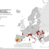 West Nile virus - infections among humans and outbreaks among equids and/or birds, 6 September 2023