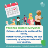 Social media card: Vaccines protect everyone