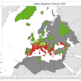 Aedes albopictus - current known distribution: February 2023