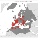 Culicoides newsteadi s.l. - current known distribution: August 2023