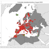 Culicoides obsoletus/scoticus - current known distribution: August 2023