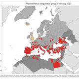 Rhipicephalus sanguineus - current known distribution: February 2023
