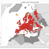 Ixodes ricinus - current known distribution: February 2023