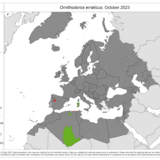 Ornithodorus erraticus - current known distribution: October 2023