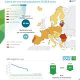 Infographic: Tuberculosis in the EU/EEA 2020