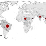 Geographical distribution of chikungunya virus disease cases reported worldwide, January to December 2020