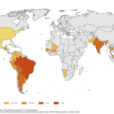 12-month Chikungunya virus disease case notification rate per 100 000 population, March 2023-February 2024