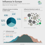 Weekly influenza update, week 16, April 2020