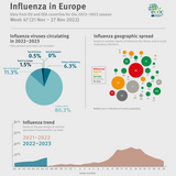 Weekly influenza update, week 47, November 2022