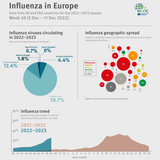Weekly influenza update, week 49, December 2022