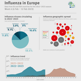 Weekly influenza update, week 6, February 2023