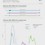 Influenza infographic, week 13 2024