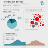 Weekly influenza update, week 5, January 2023