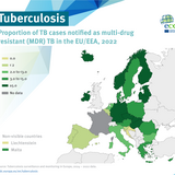 Multidrug-resistant (MDR) tuberculosis in the EU/EEA, 2022