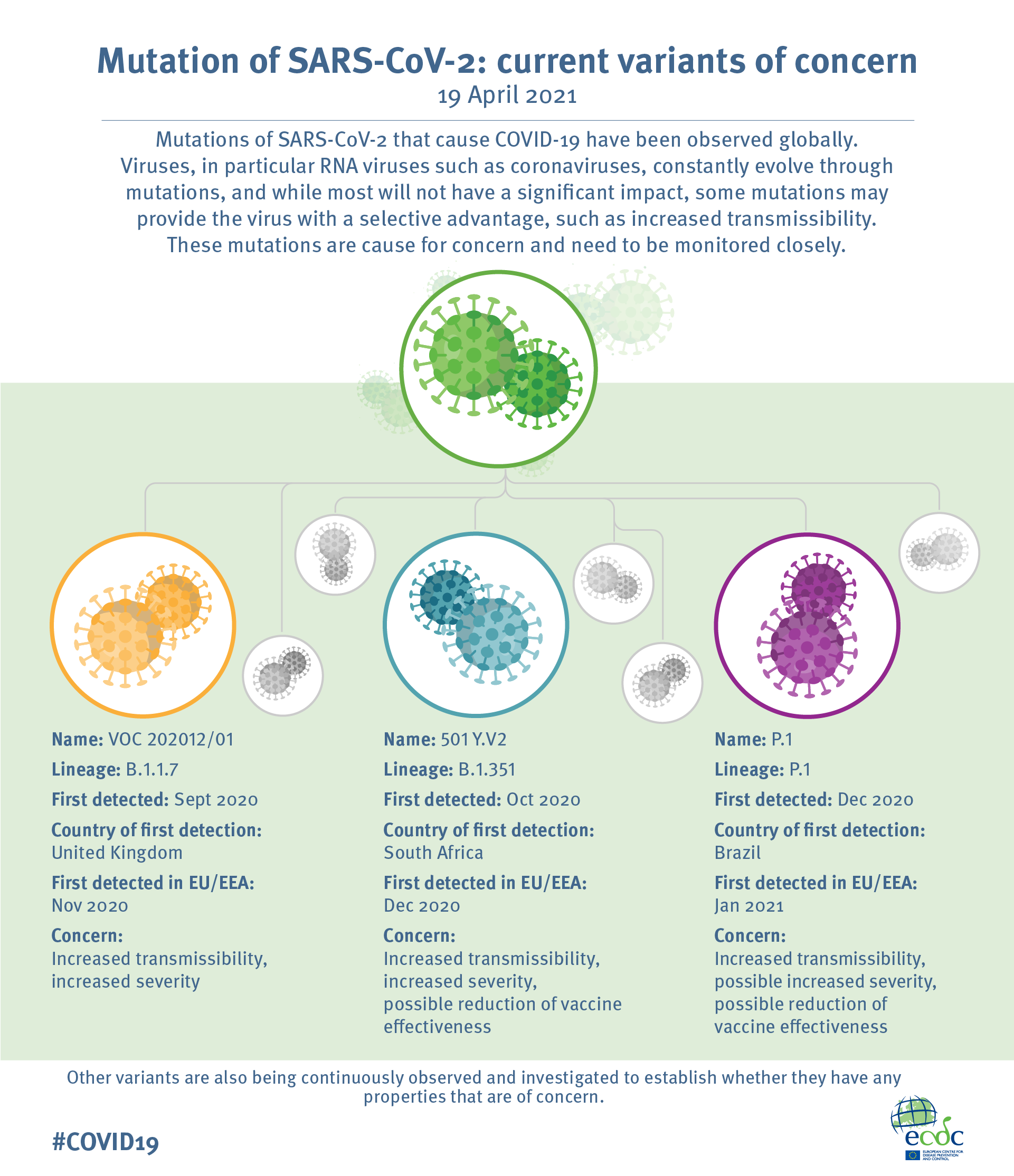 Infographic Mutation Of Sars Cov 2 Current Variants Of Concern