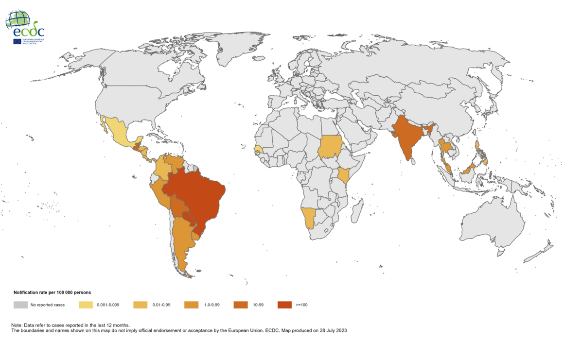 12-month Chikungunya virus disease case notification rate per 100 000 population, July 2022–June 2023