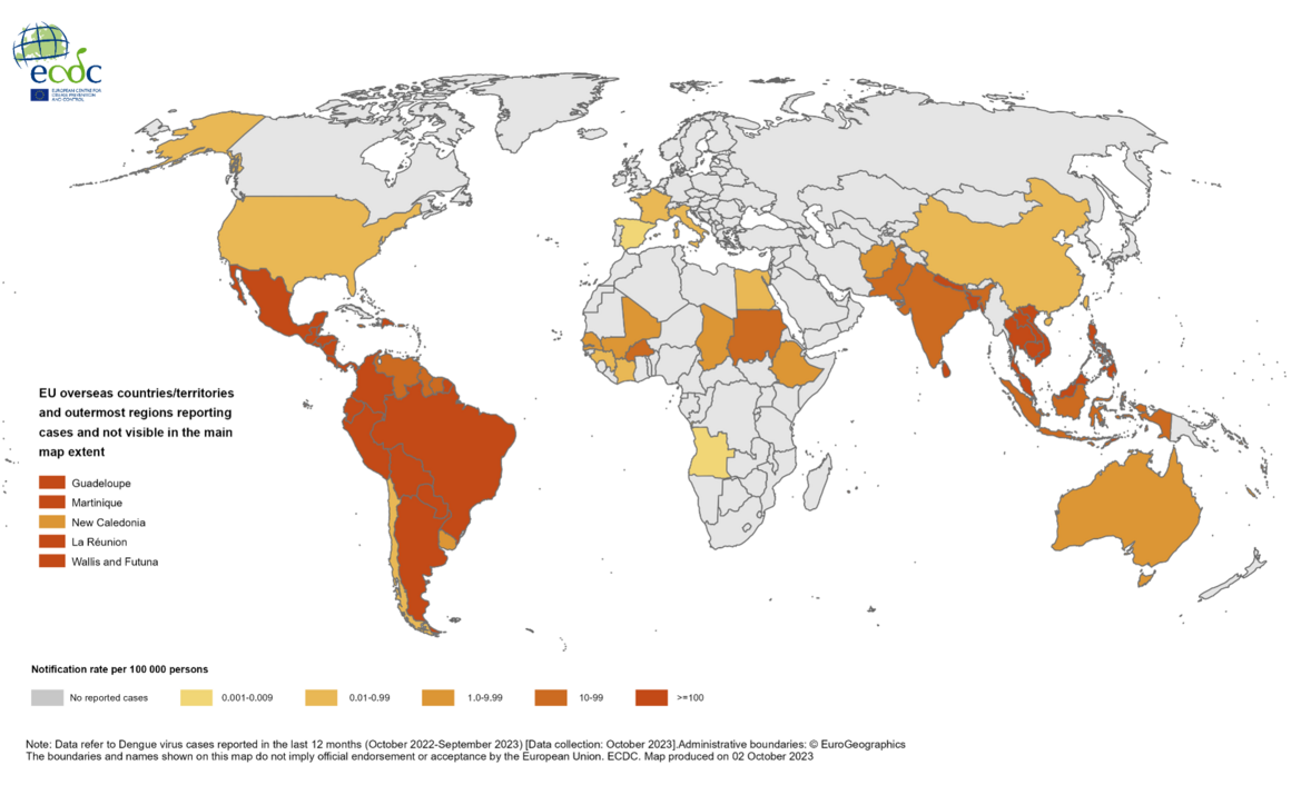12-month dengue virus disease case notification rate per 100 000 population, November 2022 – October 2023