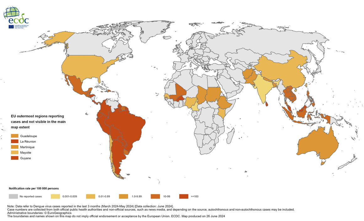 Three-month dengue virus disease case notification rate per 100 000 population, March–May 2024