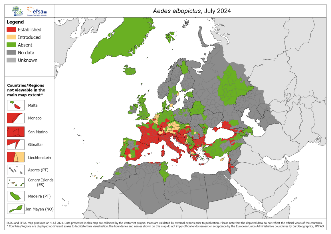 Aedes albopictus - current known distribution: July 2024