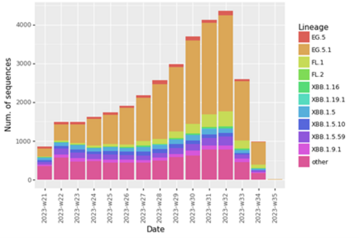 Figure 2. Distribution of the SARS-CoV-2 lineages assigned within XBB.1.5-like + F456L, per sample collection week (globally) as of 4 September 2023