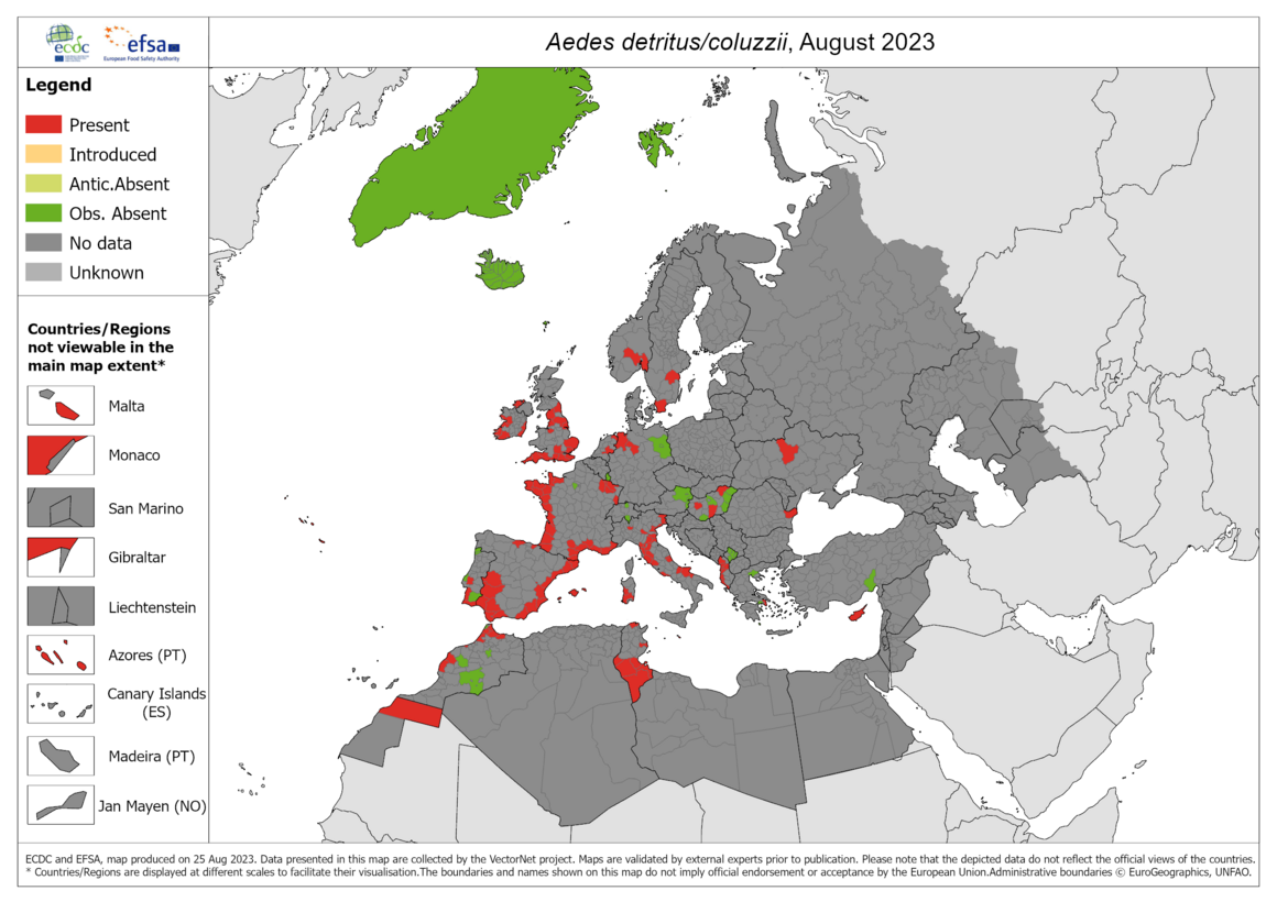 Aedes detritus/Aedes coluzzii - current known distribution: August 2023