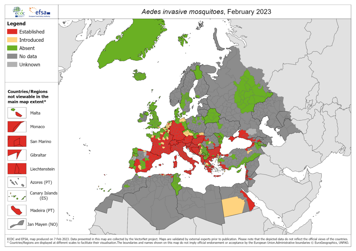 Aedes invasive mosquitoes - current known distribution: February 2023
