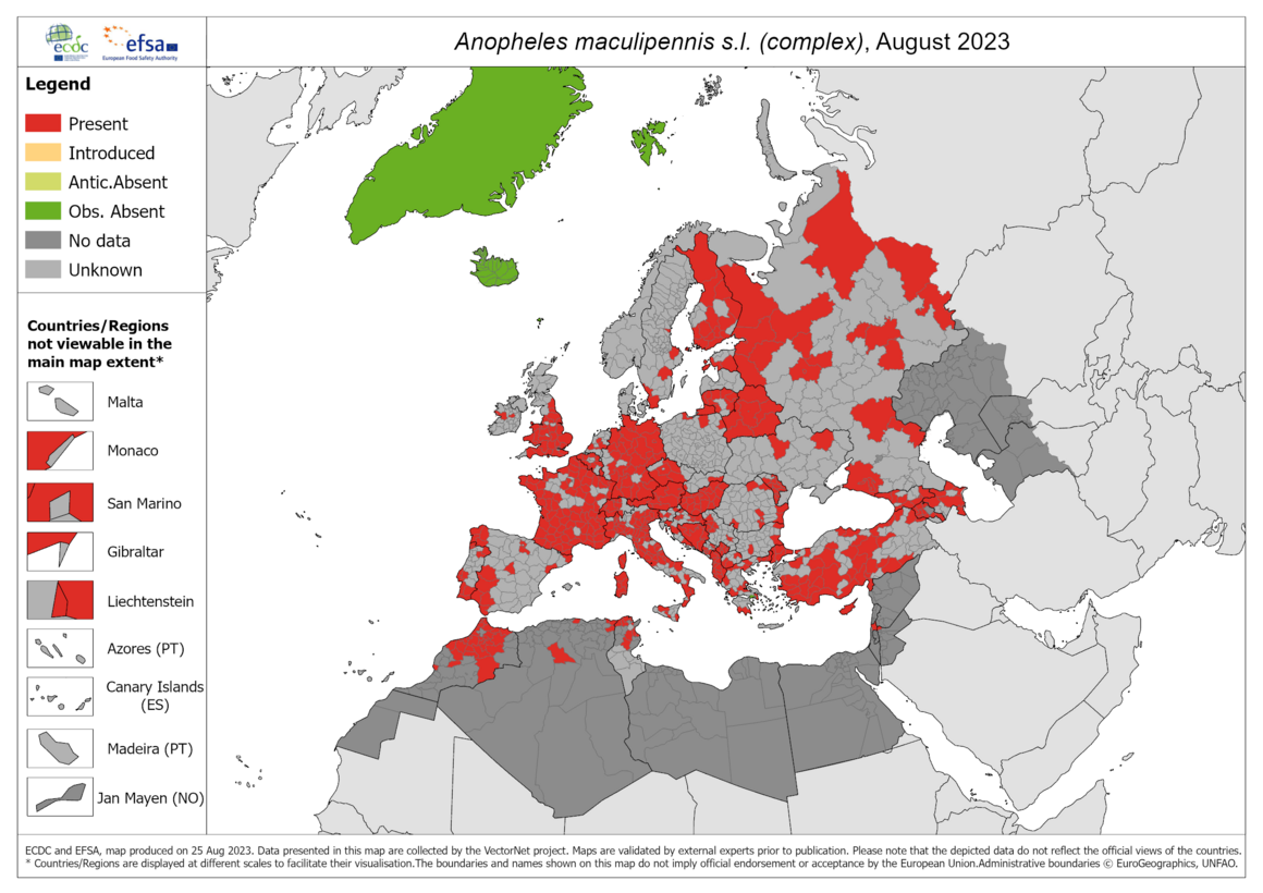 Anopheles maculipennis s.l. - current known distribution: August 2023