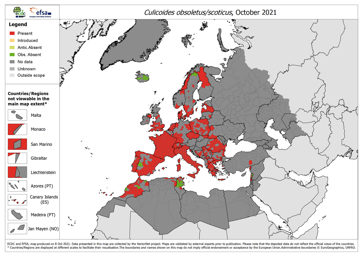 Culicoides obsoletus/scoticus - current known distribution: October 2021