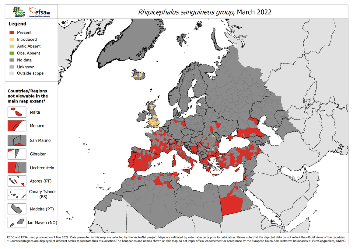 Rhipicephalus sanguineus - current known distribution: March 2022