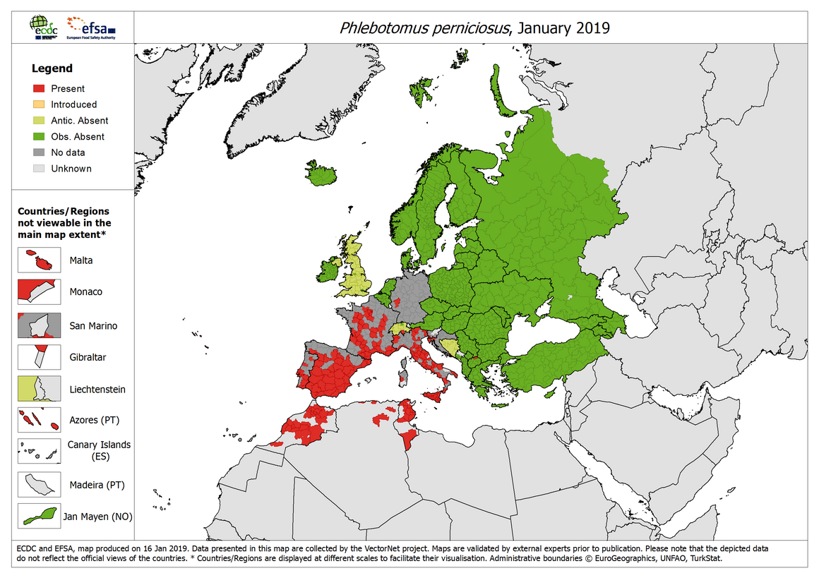 Map: Phlebotomus perniciosus - current known distribution: January 2019