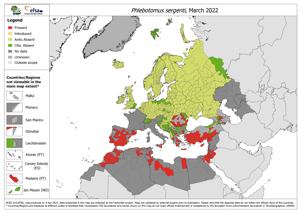 Phlebotomus sergenti - current known distribution: March 2022