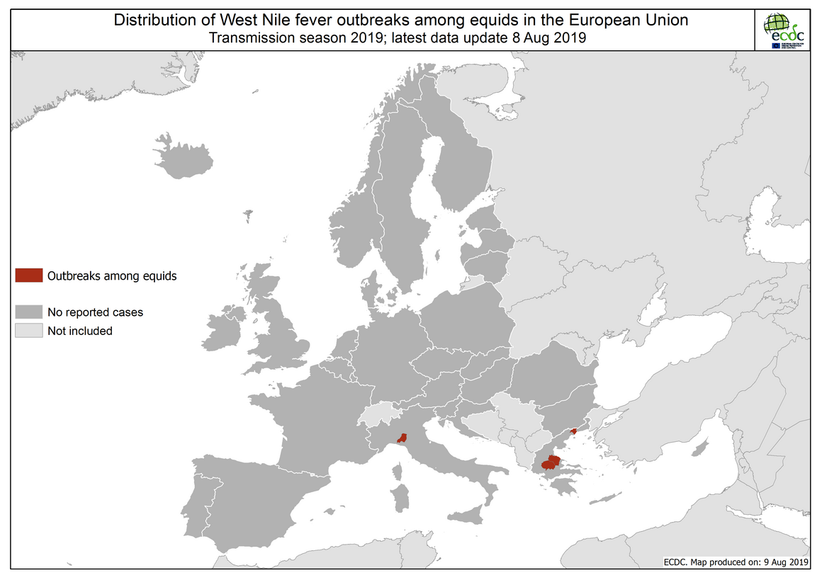 West Nile virus in Europe in 2019 - equine cases, updated 8 August