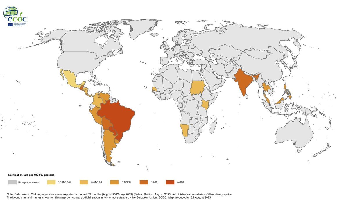 12 month Chikungunya virus disease case notification rate per 100 000 population, August 2022 July 2023