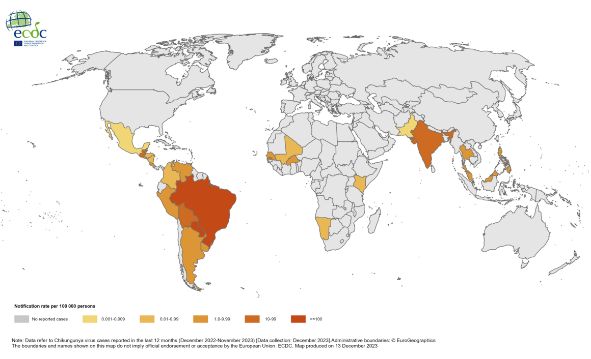 12-month Chikungunya virus disease case notification rate per 100 000 population, December 2022-November 2023