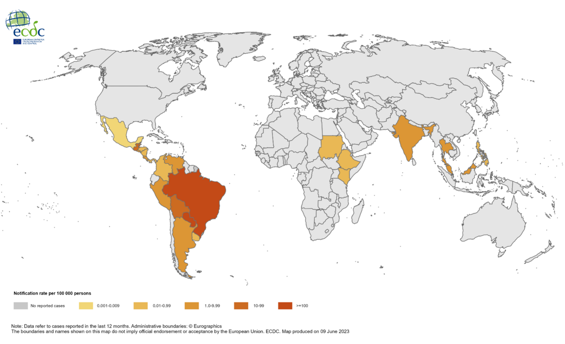Twelve-month Chikungunya virus disease case notification rate per 100 000 population, June 2023-May 2023