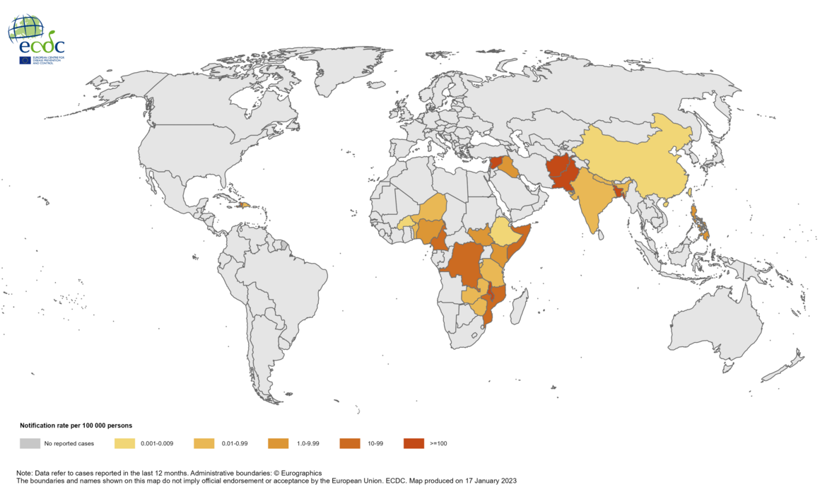 Cholera worldwide overview