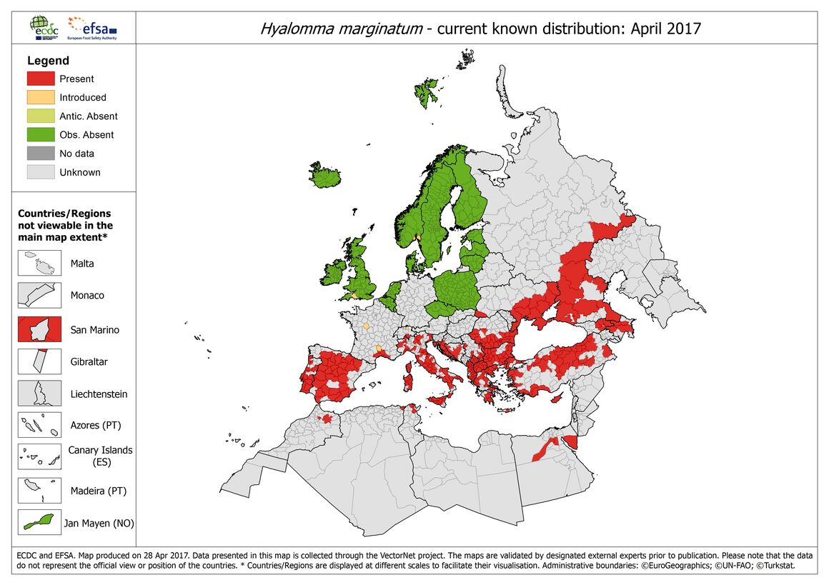 Map of the distribution of Hyalomma Marginatum ticks in Europe, as of April 2017