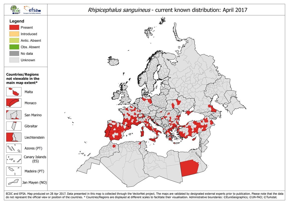 Map of the distribution of Rhipicephalus sanguineus ticks in Europe, as of April 2017